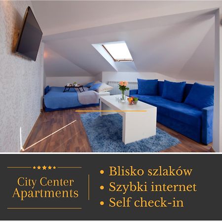 Apartament City Center Studio Deluxe クリニツァ・ズドルイ エクステリア 写真